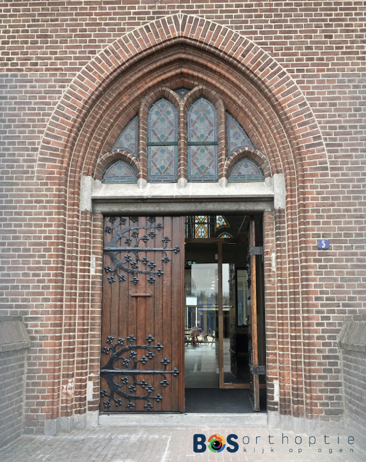Bos Orthoptie klooster Hoogeveen